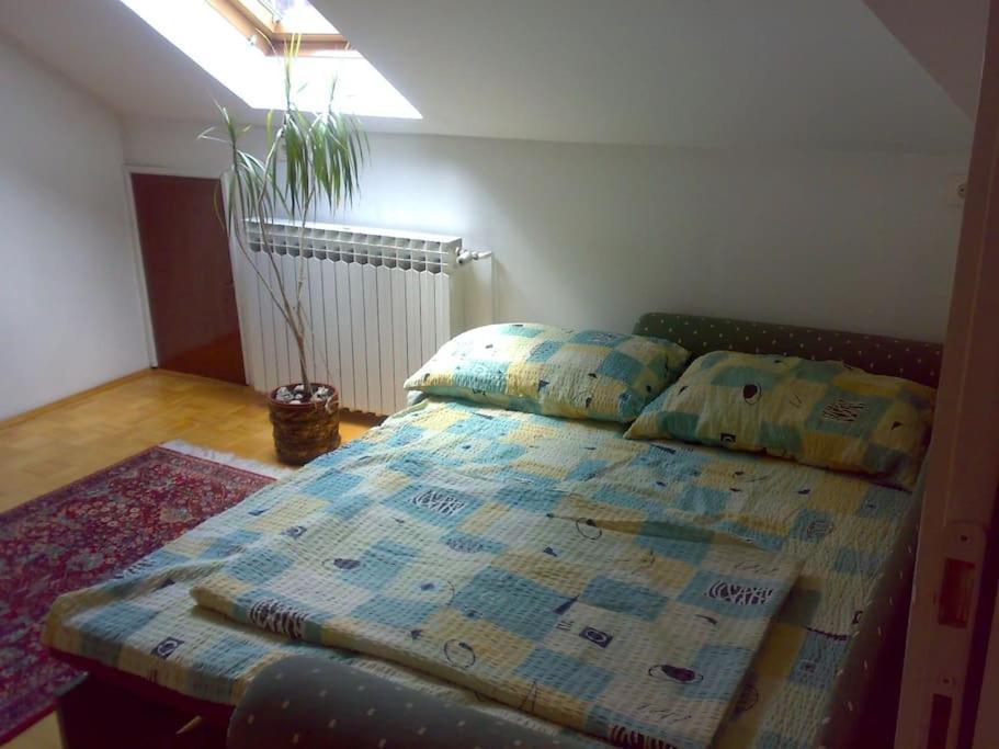 Apartment Near Downtown But In A Quiet Area *
